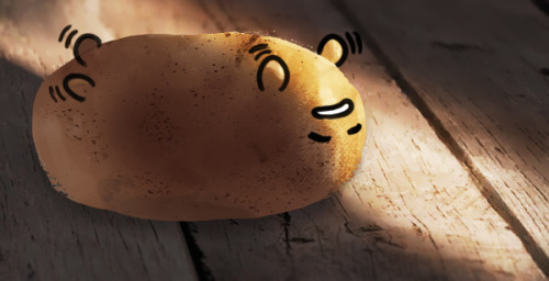 GUDETATO *w*A lazy potato. Because of reasons.