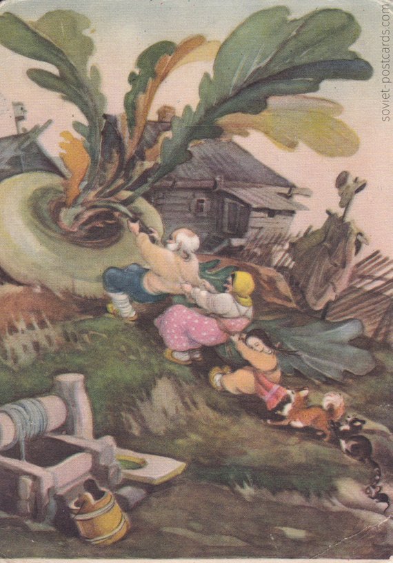 The Little Turnip - vintage postcard illustrated by I. Kuznetsov, 1956 (buy here)