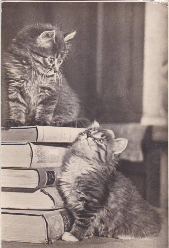 Kittens and books, postcard from 1956
Buy here: http://etsy.me/2DOZGRt