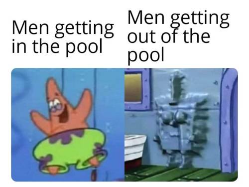 patrick star memes | Tumblr