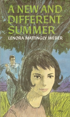 Vintage Teen Books A New And Different Summer By Lenora Mattingly