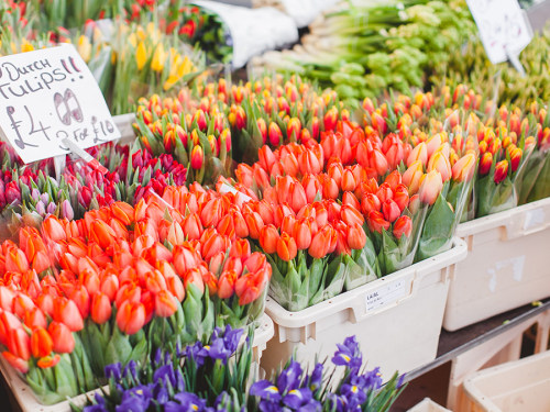 floralls:Columbia Road Flowers (by Carrie...