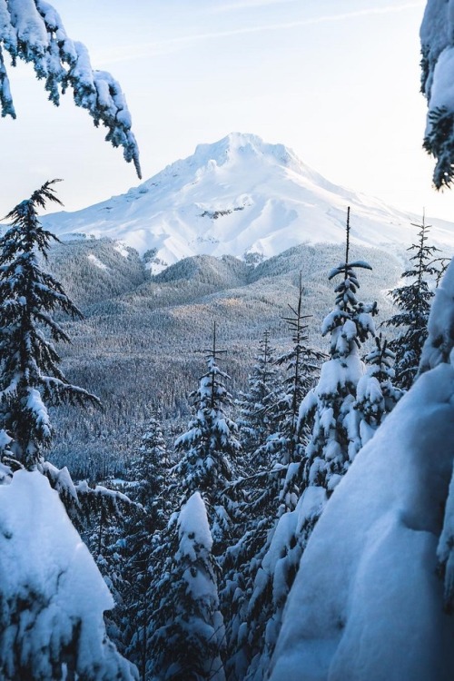 alecsgrg:Mt. Hood | ( by Elliot Hawkey )