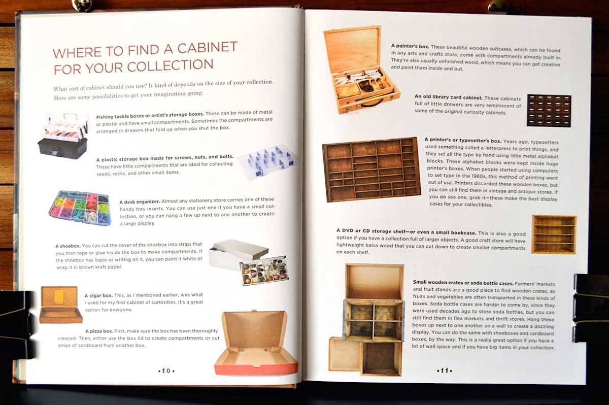 Cabinet of Curiosities: Collecting and Understanding the Wonders of the Natural World