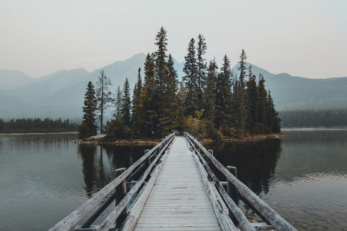 modernnorth