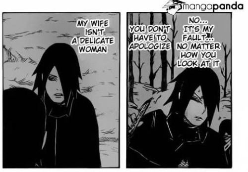 Sasuke and Sakura explained by the fandom