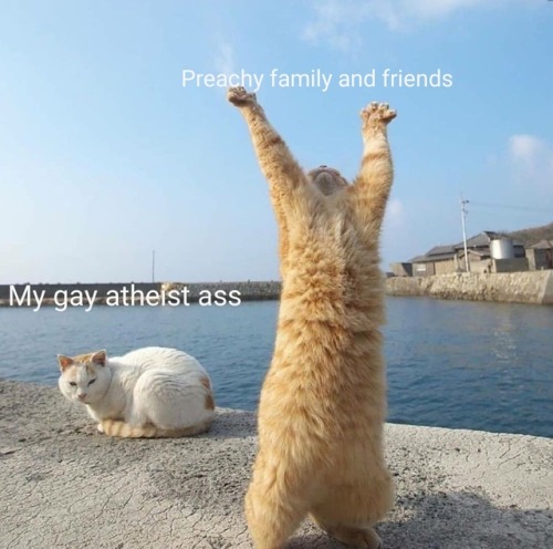 gay-irl