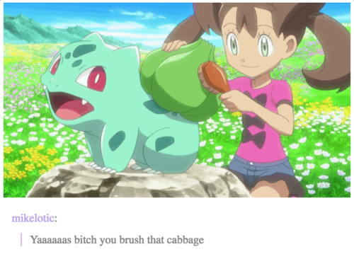 i-have-no-gender-only-rage:tumblr and pokemon