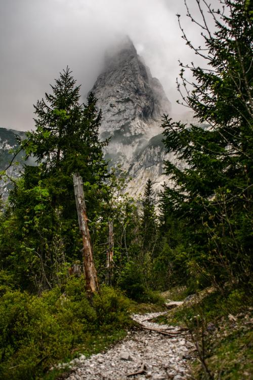 amazinglybeautifulphotography