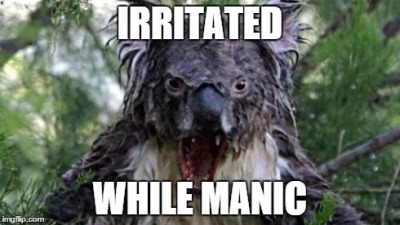 Bipolar Disorder Memes
