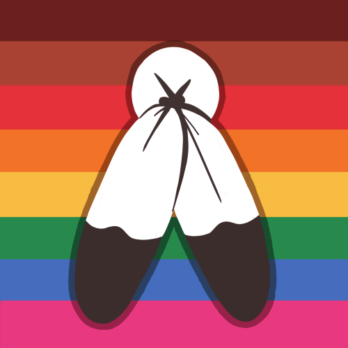 wackndn:native gay & trans/two-spirit flags!these flags...