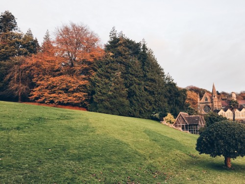 travels-ofadreamer:Wintery sunsets, Tyntesfield