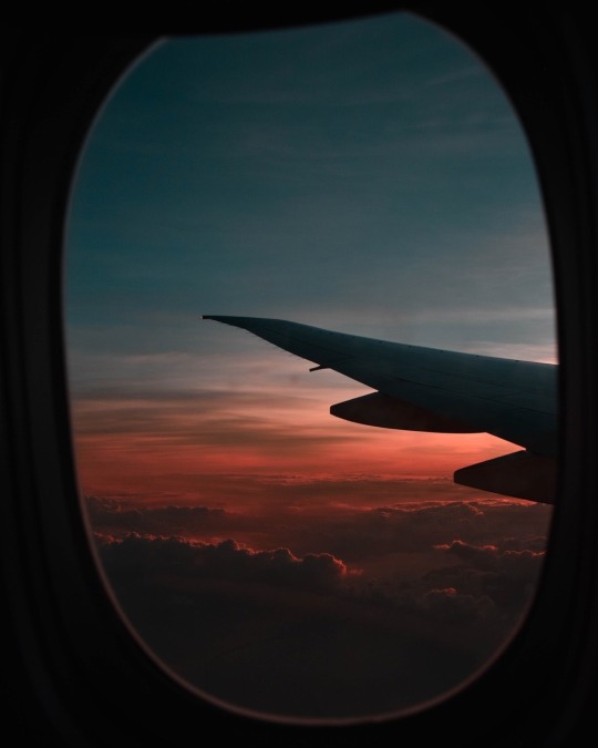 airplane | Tumblr