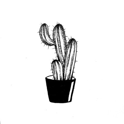 Cactus Doodle Tumblr