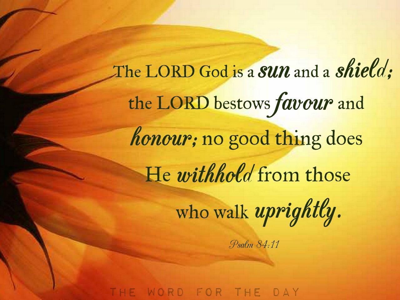 The Word For The Day • “The Lord God is a sun and shield; the Lord...