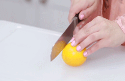 Sansa Stark Lemon Cakes Tumblr