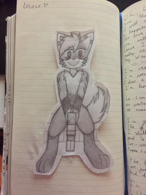 Gay Feminine Furries