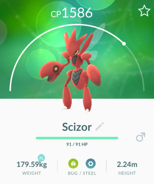 valortrainertritrunk
