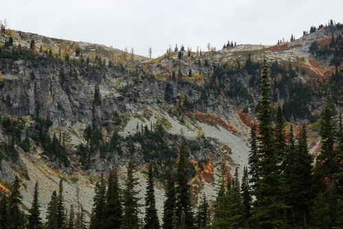 burningmine:Heather-Maple Pass, October 2018