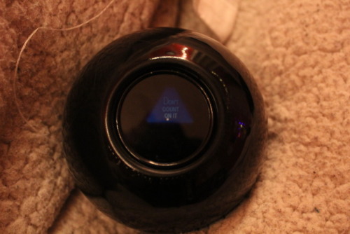 ~Asking the Eight Ball~