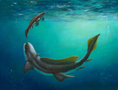 Orthacanthus and Xenacanthus by EsthervanHulsen Alas, sharks...