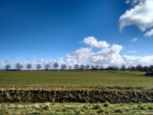 Friday 2017/02/24 - Netherlands, Friesland ProvinceThursday...