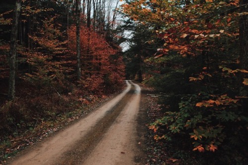 dayzea:Worlds End State Park, Pennsylvania.10.15.17