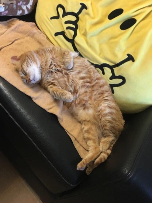 awwsfordays