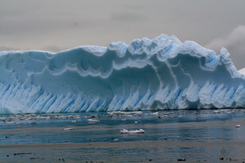 sixpenceee:Huge iceberg carved by the wind & sea looks like...