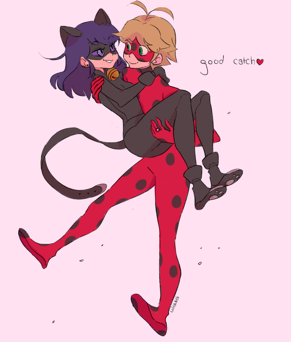 Wishpetal So What If Marinette Was Always Chat Noir And