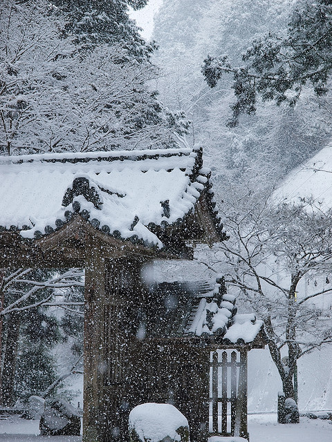 ileftmyheartintokyo:談山神社 東大門 II by Eiji Murakami on Flickr.