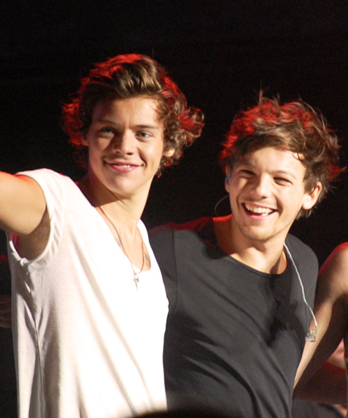 Blog1DPR taught me not to drink the Koolaid., Louis and Harry fit
