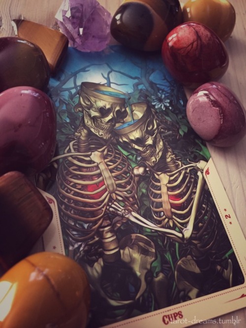 tarot-dreams:Two of Cups.Just as willow roots will surely...