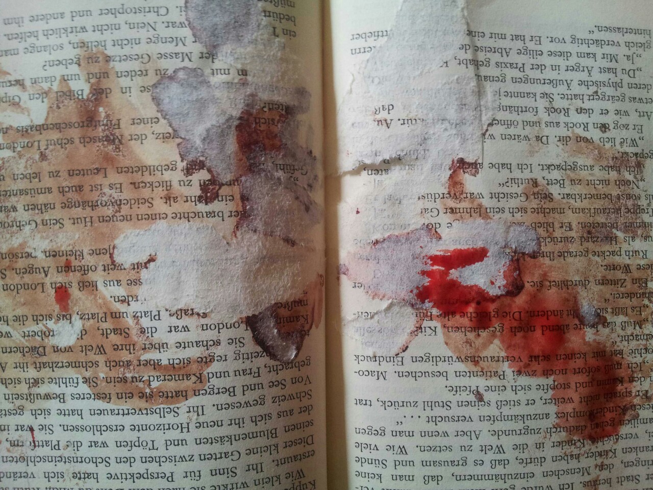 Кровавые страницы книги