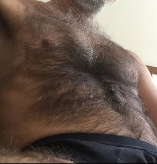 wild4hairy:Dense fur!