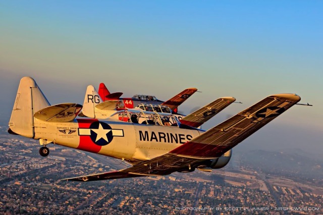 Beautiful Warbirds