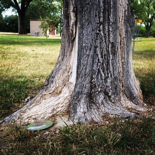 Ouch. #badlies #discgolf #discgolfbasket