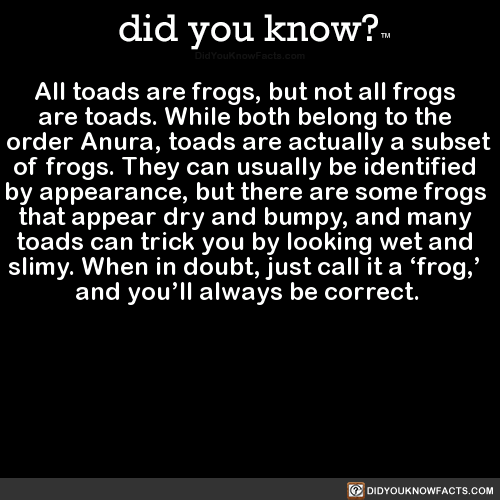 all-toads-are-frogs-but-not-all-frogs-are