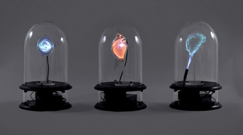 flowartstation:Anatomical Neon sculptures by Jessica...