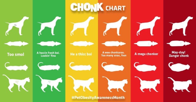 Chonk Chart Cat Memes Cats Cool Cats.