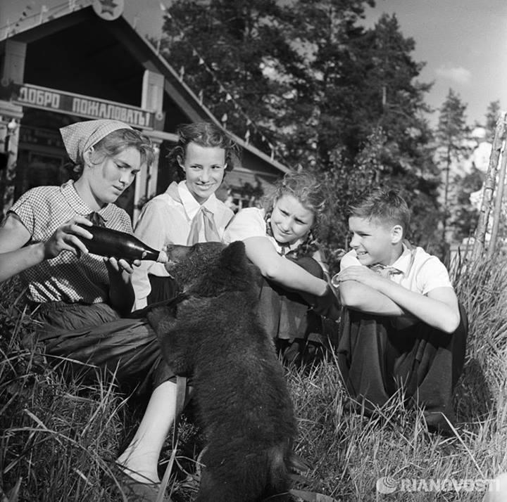 Baby bear in a pioneer camp in Leningrad, 1960