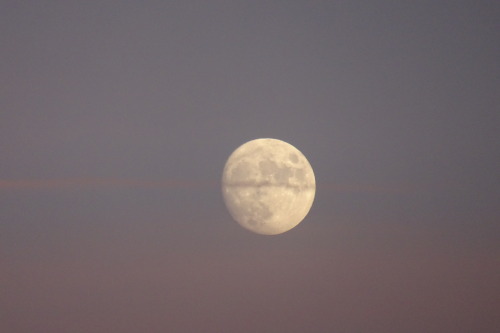 astronemma:Yesterday’s Moonrise. 