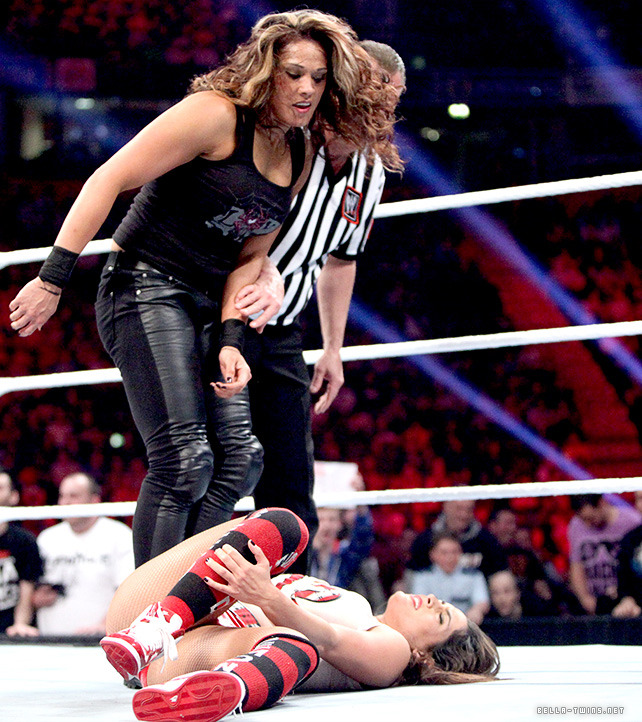 Brie Nikki Love - WWE RAW 11/11/13 - Nikki Bella W/ Brie Bella Vs...