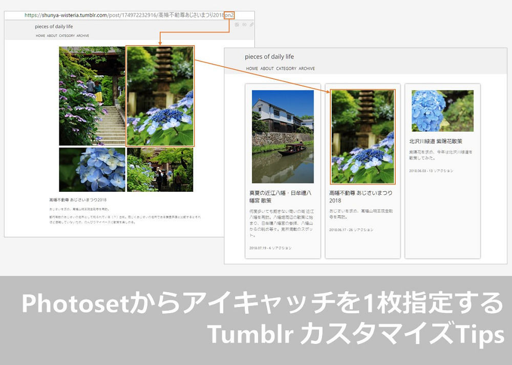 ラブリー Tumblr アーカイブ 表示 画像ブログ