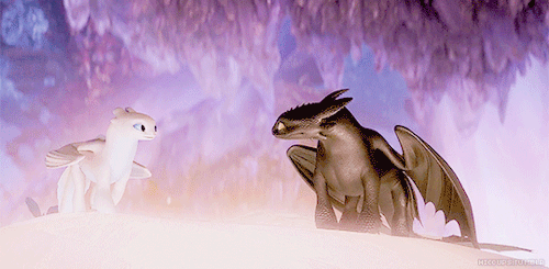 Featured image of post Toothless And Light Fury Flying Gif Until when they find a new island full of toothless pov