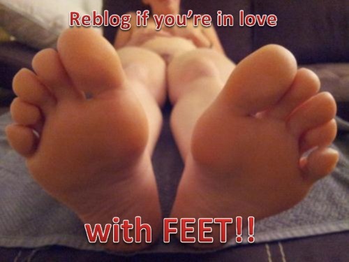 amateurfootbrats:toesucker66:feetandcomics:I AM!!  Are...