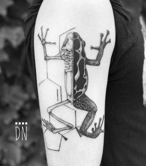 By Dino Nemec, done at Lone Wolf Private Tattooing Studio,... dinonemec;frog;amphibian;animal;graphic;facebook;twitter;medium size;illustrative;upper arm