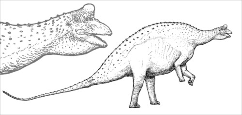 cmkosemenillustrated:The short-necked sauropod dinosaur...