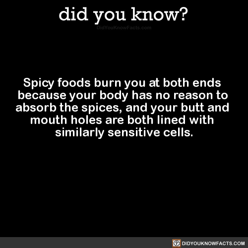 did-you-kno:Spicy foods burn you at both ends because your...