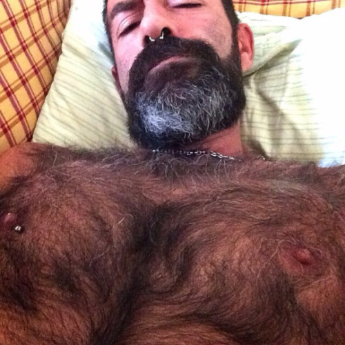 A tribute to hot nipples on hairy chests